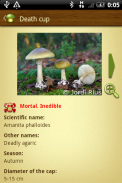 Mushroom - Mushtool screenshot 2