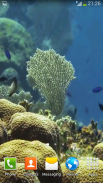 Sea Life Video Wallpapers screenshot 0