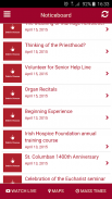 Archdiocese of Dublin screenshot 3