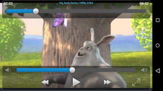 VLC Streamer Lite screenshot 7