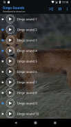 Dingo Sounds ~ Sboard.pro screenshot 2