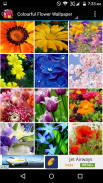 Colourful Flower Hd Wallpaper screenshot 6