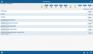 Deltek Vision Time & Expense screenshot 11