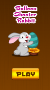 Balloon Shooter Rabbit screenshot 1