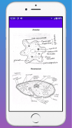 Biology Notes screenshot 6