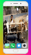 Bullock Cart Wallpaper Full HD screenshot 1