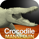 Crocodile Mannequin