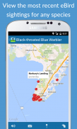 BirdsEye Bird Finding Guide screenshot 4