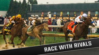 Real Horse Racing Championship : Derby Quest 2019 screenshot 0