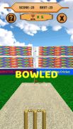 Bowled 3D - Cricket Game screenshot 15