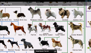 Dog Breeds screenshot 4