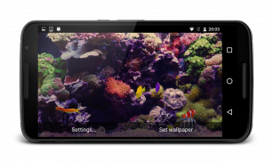 Tropical Fish Live Wallpaper screenshot 4