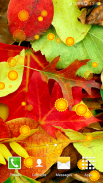 الخريف خلفيات حية screenshot 3