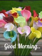 Good Morning Flowers Images 2020 screenshot 0