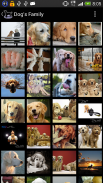 Dog Breeds screenshot 3