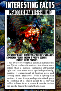 Sea Animal Encyclopedia screenshot 4