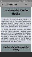 Cuidados de perros Husky screenshot 7