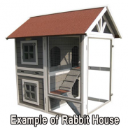 Example of Rabbit House screenshot 3