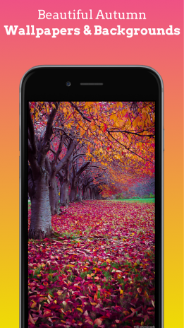 Beautiful Autumn Wallpapers Autumn Backgrounds Hd 2 0 15 Download