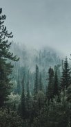 Dark Forest  Live Wallpaper screenshot 5