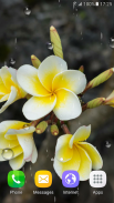 Tropical Flower Live Wallpaper screenshot 5