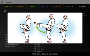 Jujitsu screenshot 11