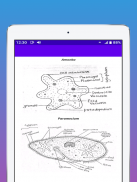 Biology Notes screenshot 7