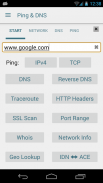 Ping & DNS screenshot 1