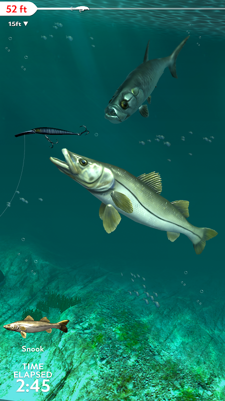 Rapala Fishing - Daily Catch - Free download and software reviews
