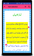 Bahaar e Shariat Search App screenshot 5