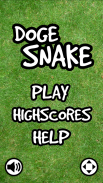 Doge Snake screenshot 11