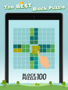 Block Puzzle 100 - Fill lines screenshot 3