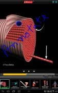 Anatomy & Physiology-Animated screenshot 12