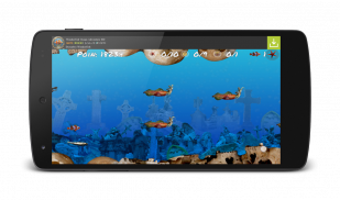 Wonder Fish Permainan Free HD screenshot 1