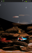 Tiny Fish HD LWP FREE Neon screenshot 1