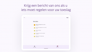 Toeslagen screenshot 14