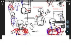 Drawing Tutorial Human Body screenshot 0