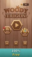 Woody Trigon Block Puzzle Game screenshot 6