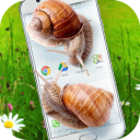 Snail in Phone best joke