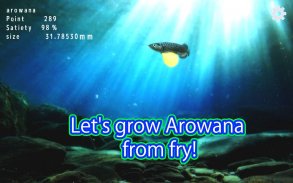 Arowana raising from fry screenshot 1