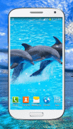 Dolphin Live Wallpaper HD screenshot 5