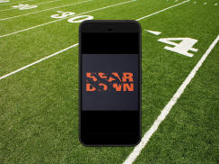 Wallpapers for Chicago Bears Fans screenshot 2