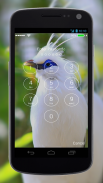 4K Garden Birds Lock Screen Wallpaper screenshot 0