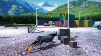 Doberman Dog Simulator screenshot 9