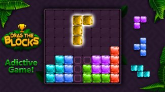 Drag the Blocks! Puzzle screenshot 4