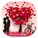 True Love Shayari Icon