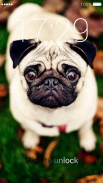 Pug Lock Screen screenshot 2