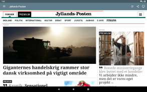 Danske Aviser screenshot 12
