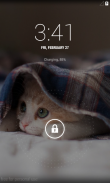 Cute Cat Wallpaper HD screenshot 5