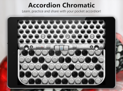 Accordion Chromatic Button screenshot 5
